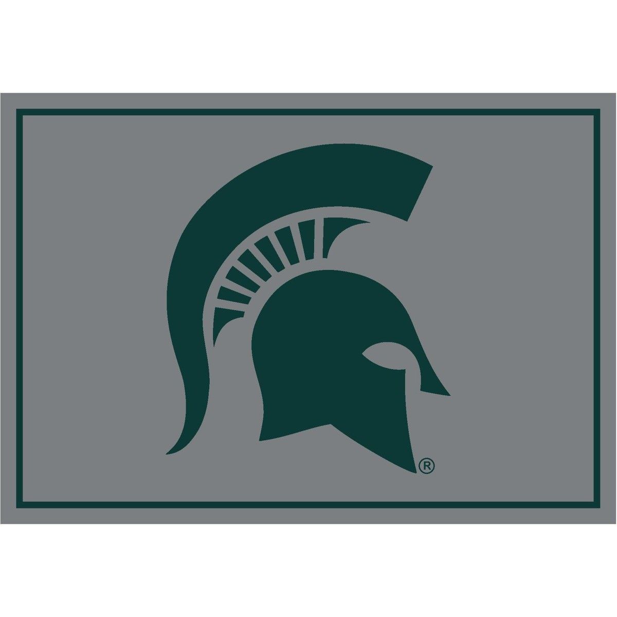 Michigan State University Team Spirit Rug